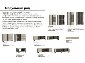 Гостиная Отис Дуб Крафт Серый/Антрацит в Каменске-Уральском - kamensk-uralskij.magazinmebel.ru | фото - изображение 5